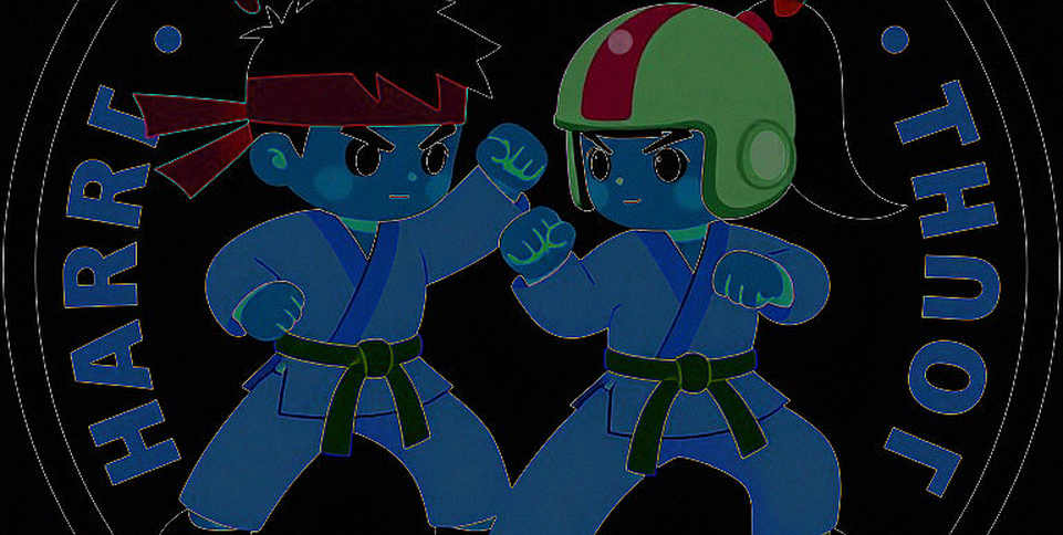 Vietnamese Combat Sports Analysis: Eight Dimensions Left Blank After Every Fight