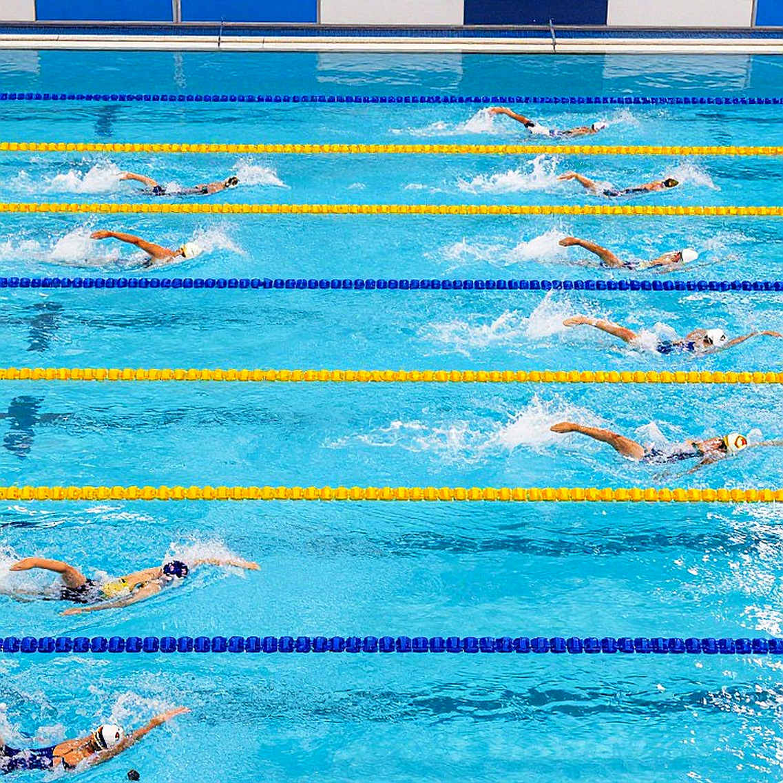 College Swimming League mùa đầu tiên: câu chuyện cấu trúc phía sau trận đấu thứ tư