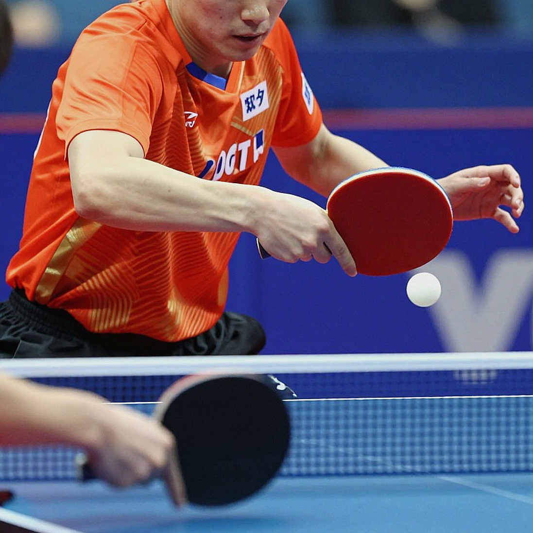 Một quả bóng đồ chơi, một cậu bé 10 tuổi và tầng cơ sở của bóng bàn Anh Một quả bóng đồ chơi, một cậu bé 10 tuổi và tầng cơ sở của bóng bàn Anh