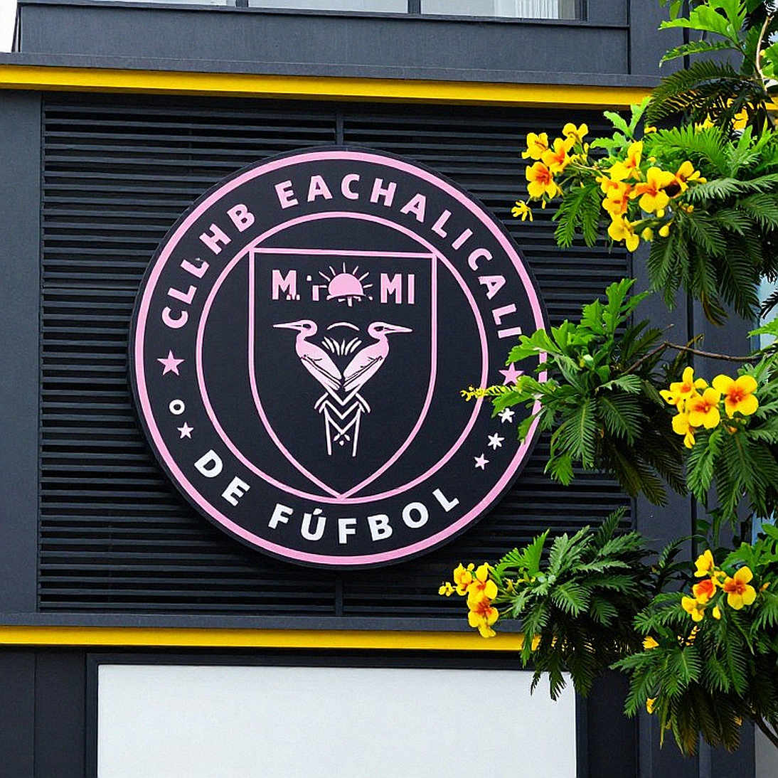 Viên ngọc chưa mài và khối bê tông Bandung: Việt Nam cần gì sau thất bại trước Thái Lan
