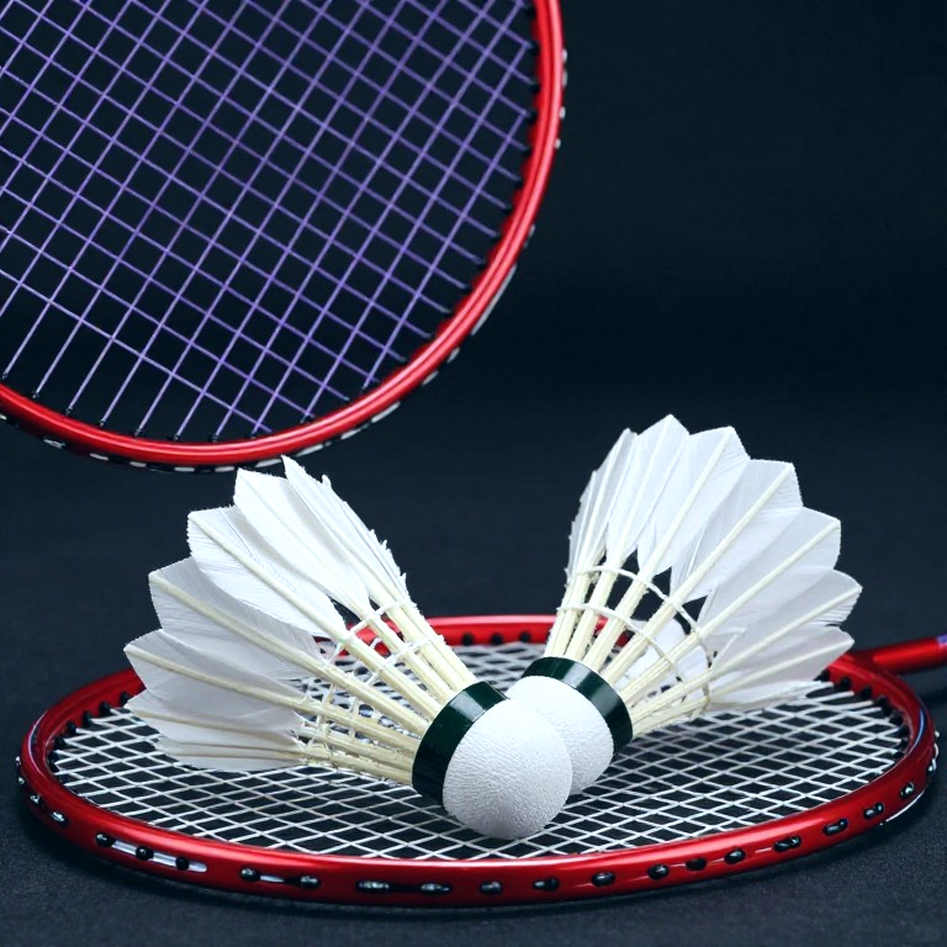 BWF World Junior Championships 2026: The 3x55 Format, India's Fifth Seed and the Test Named Indonesia BWF World Junior Championships 2026: The 3x55 Format, India's Fifth Seed and the Test Named Indonesia